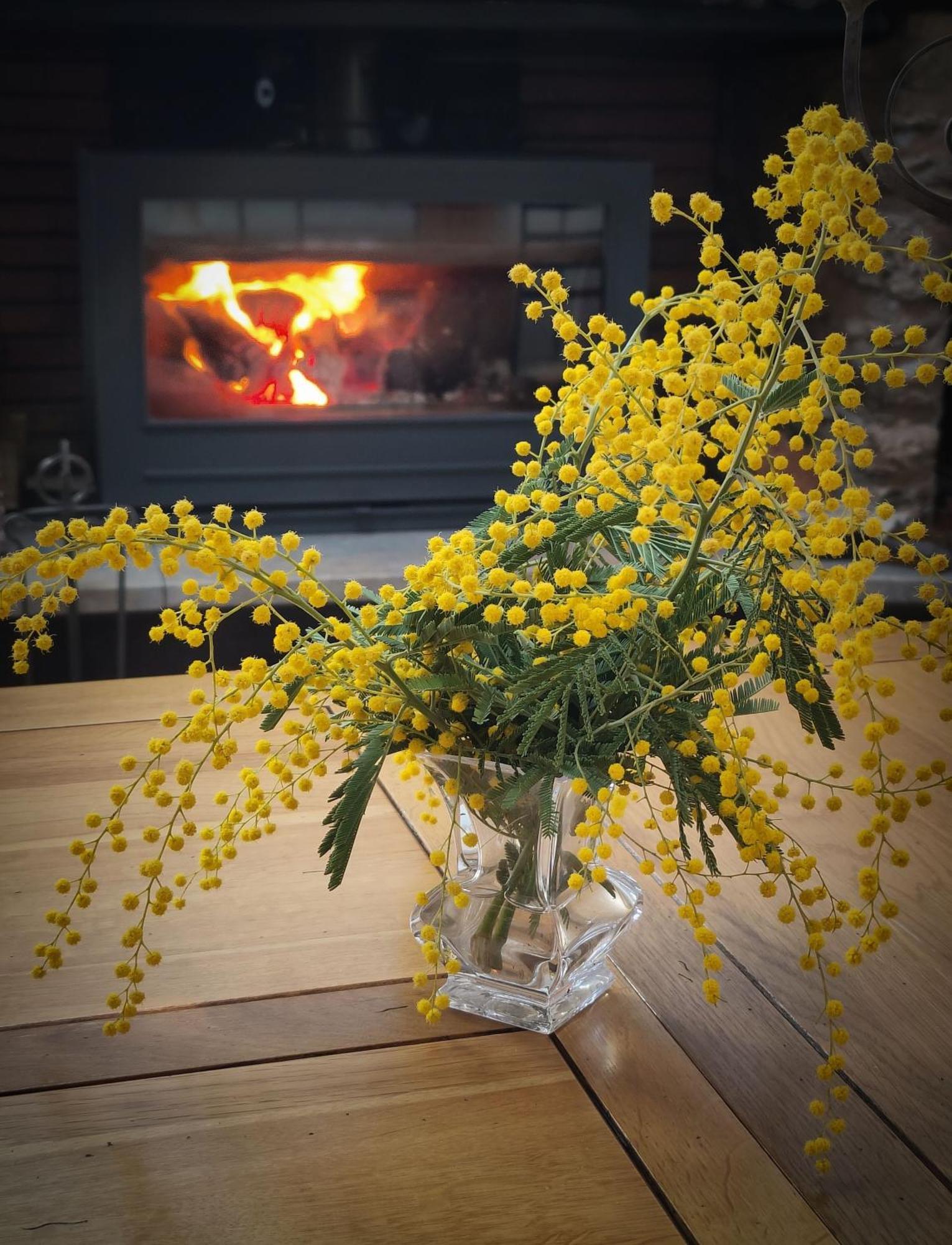 Mas Peu Del Causse Bed & Breakfast Thuir Eksteriør bilde
